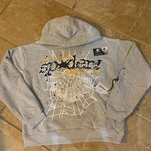 Gray Spider Hoodie with Web Design